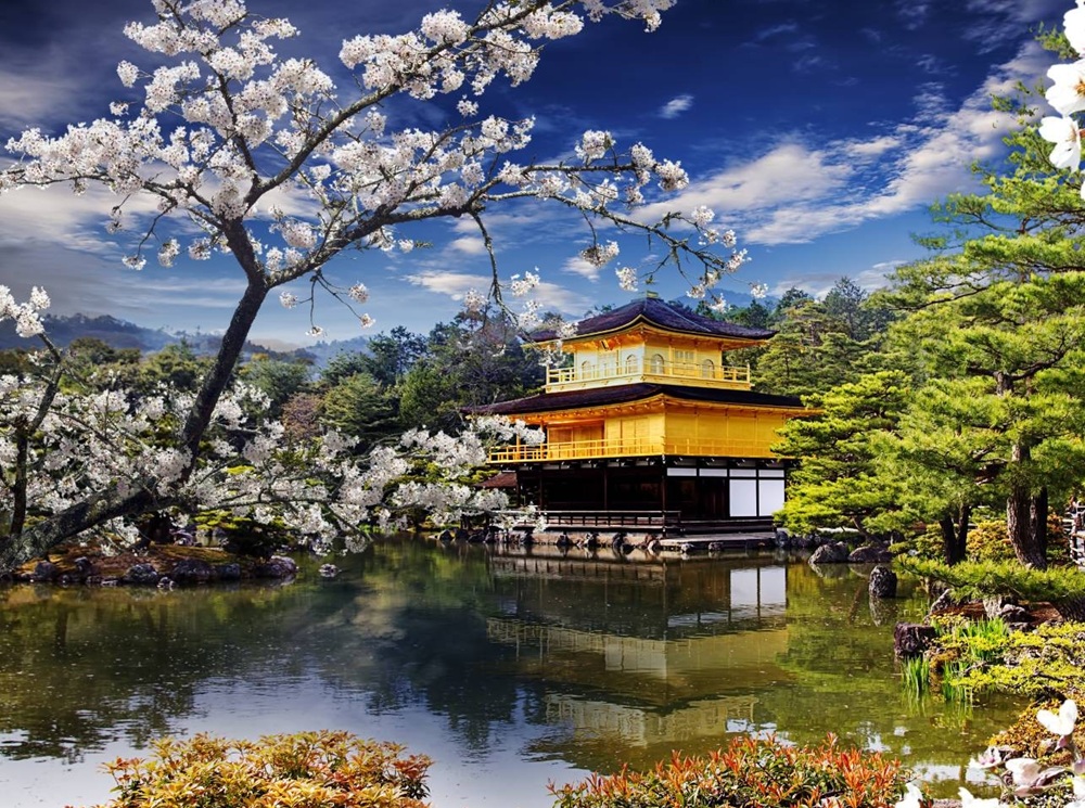 ΙΑΠΩΝΙΑ 11ημ ΜΑΡΤΙΟΣ (P2)