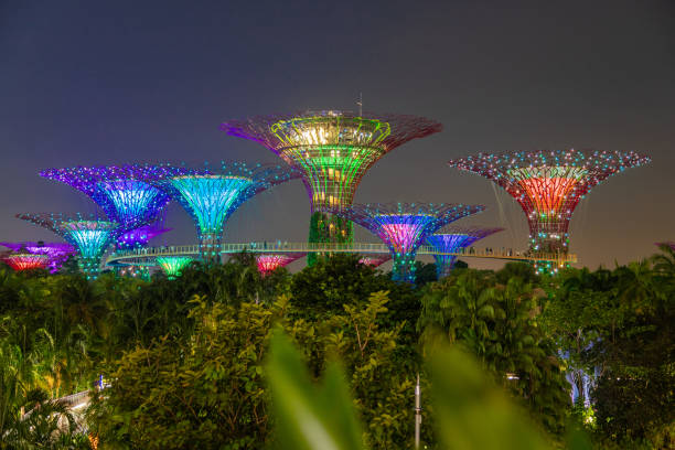 ΜΠΑΛΙ & ΣΙΓΚΑΠΟΥΡΗ 11,12ημ ΙΟΥΛΙΟΣ - ΑΥΓΟΥΣΤΟΣ (P13)