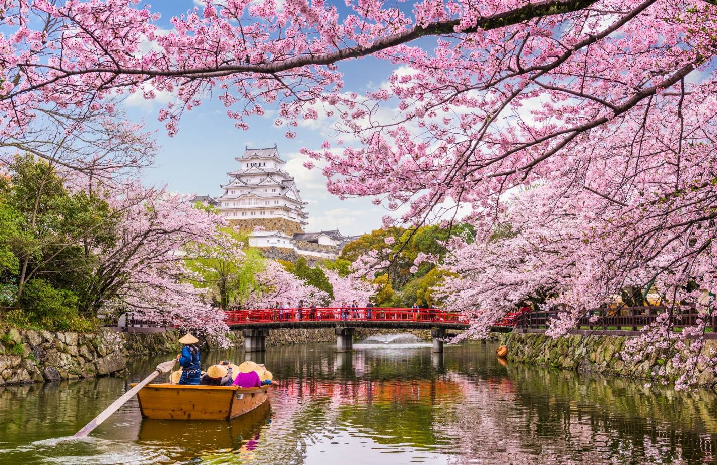 ΙΑΠΩΝΙΑ 12ημ ΚΕΡΑΣΙΕΣ & ΠΑΣΧΑ (P2)