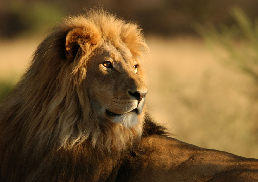 Ν.ΑΦΡΙΚΗ - ΚΑΤΑΡΡΑΚΤΕΣ ΒΙΚΤΩΡΙΑ 11ημ ΑΥΓΟΥΣΤΟΣ (P2)