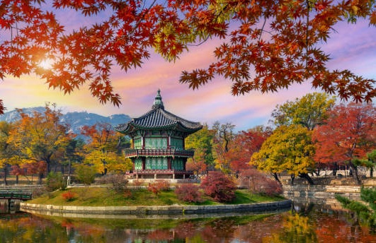 Ν.ΚΟΡΕΑ (ΣΕΟΥΛ - ΜΠΟΥΣΑΝ) 11,12ημ ΜΑΪΟΣ - ΙΟΥΝΙΟΣ (P4)