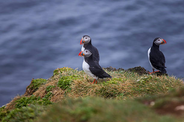 ΙΣΛΑΝΔΙΑ 9ημ ΙΟΥΛΙΟΣ (P20)