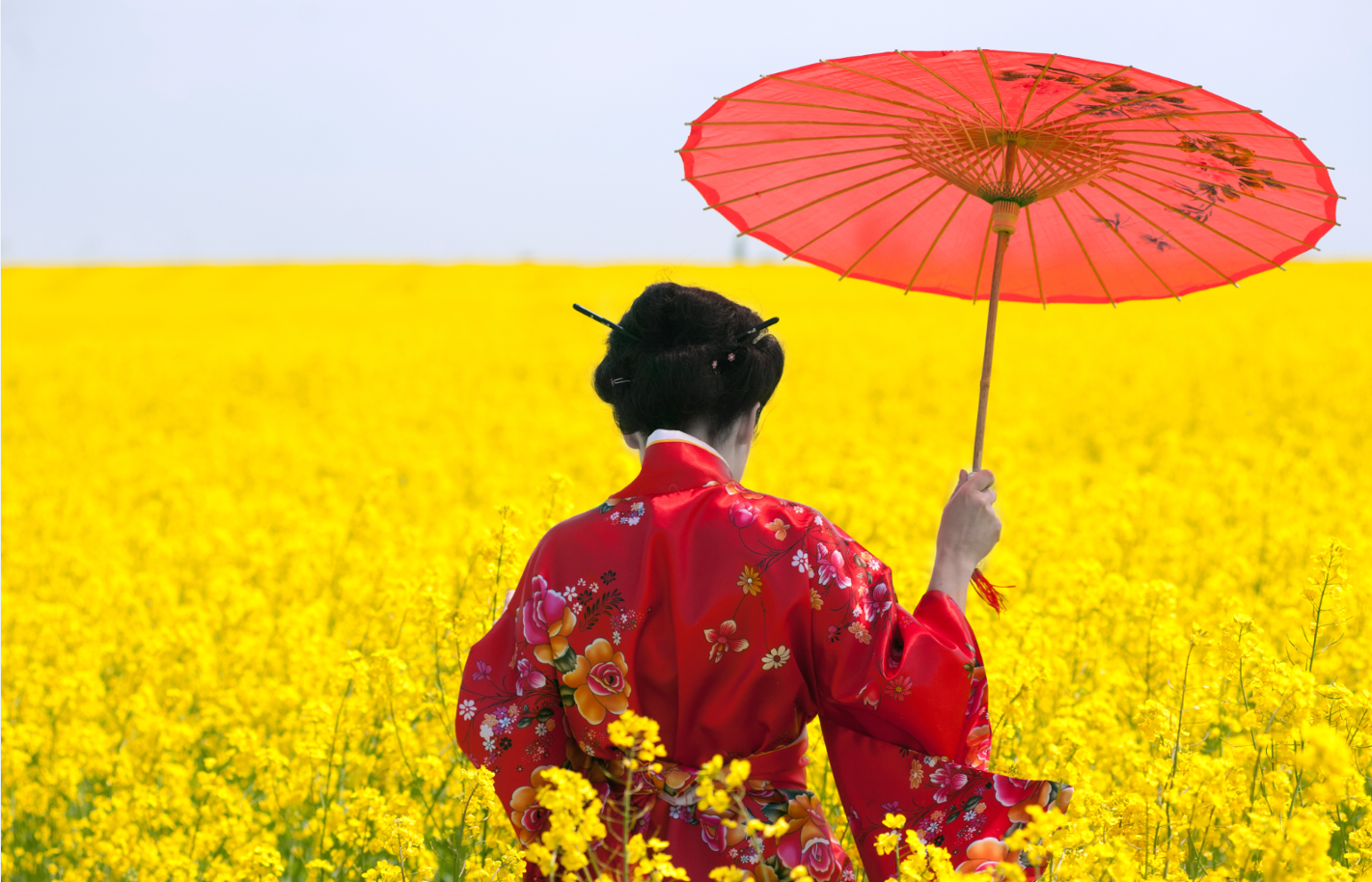 ΙΑΠΩΝΙΑ 12ημ. ΠΑΣΧΑ (P2)