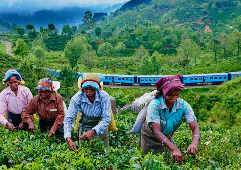 ΣΡΙ ΛΑΝΚΑ 11ημ ΦΕΒΡΟΥΑΡΙΟΣ - ΜΑΡΤΙΟΣ (P2)