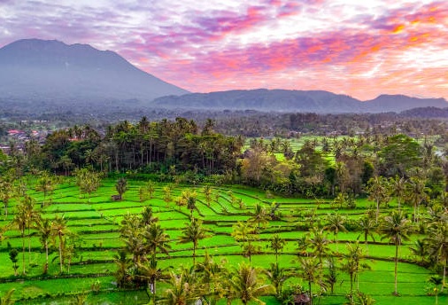 ΜΠΑΛΙ 10ημ ΜΑΪΟΣ - ΙΟΥΝΙΟΣ (P13)