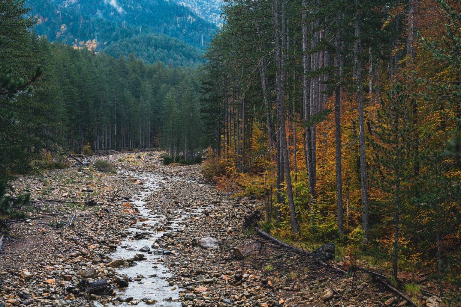 ΒΑΛΙΑ ΚΑΛΝΤΑ 4ημ ΠΡΩΤΟΜΑΓΙΑ  - ΑΓ.ΠΝΕΥΜΑΤΟΣ (P2)