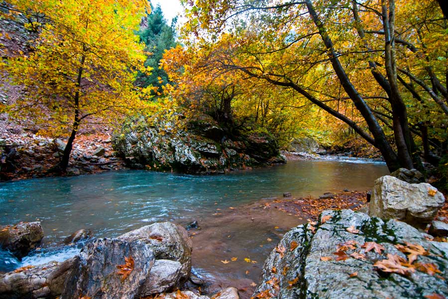 ΑΛΠΙΚΗ ΕΥΡΥΤΑΝΙΑ, ΚΑΡΠΕΝΗΣΙ 3,4ημ ΧΡΙΣΤΟΥΓΕΝΝΑ -ΠΡΩΤΟΧΡΟΝΙΑ -ΦΩΤΑ (P2)