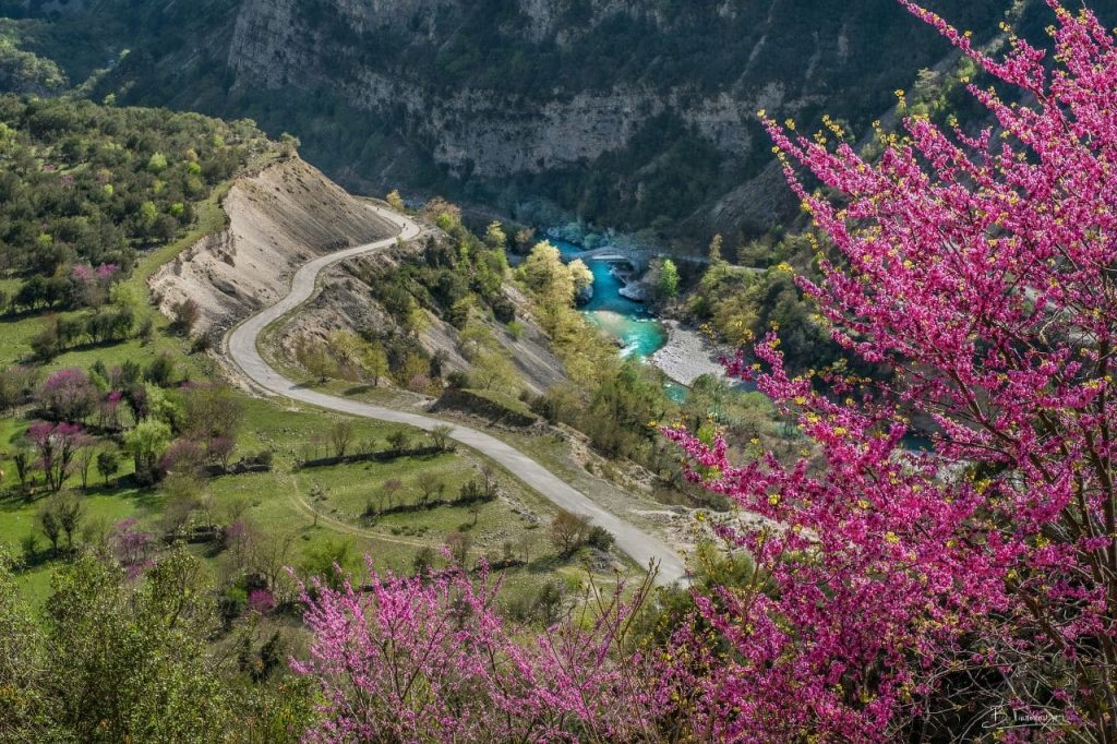 ΤΖΟΥΜΕΡΚΑ 4ημ ΣΕΠΤΕΜΒΡΙΟΣ – ΔΕΚΕΜΒΡΙΟΣ