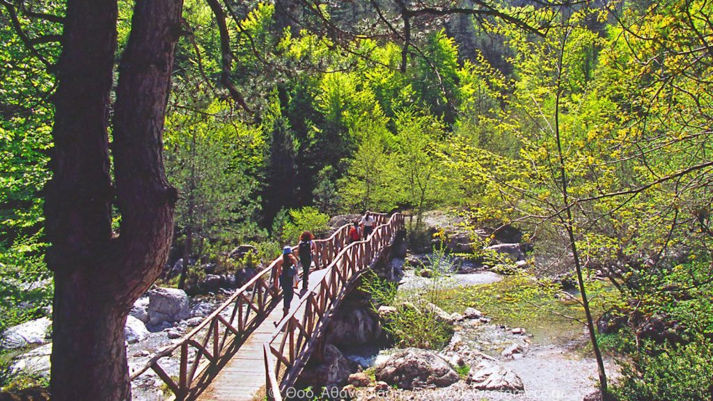 ΟΛΥΜΠΟΣ – ΠΙΕΡΙΑ 4ημ ΧΡΙΣΤΟΥΓΕΝΝΑ – ΠΡΩΤΟΧΡΟΝΙΑ – ΦΩΤΑ