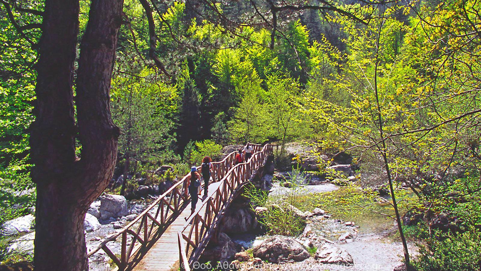 ΟΛΥΜΠΟΣ – ΠΙΕΡΙΑ 4ημ ΧΡΙΣΤΟΥΓΕΝΝΑ – ΠΡΩΤΟΧΡΟΝΙΑ – ΦΩΤΑ